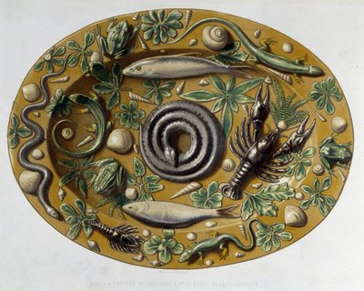 Passin à reptiles - Plat céramique, dans « L