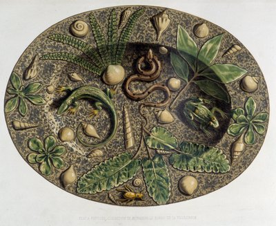 Plat à reptiles - Plat céramique, dans « L