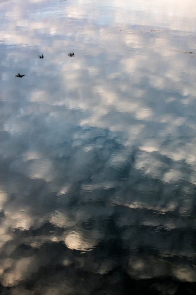  - Bernard Bonnefon