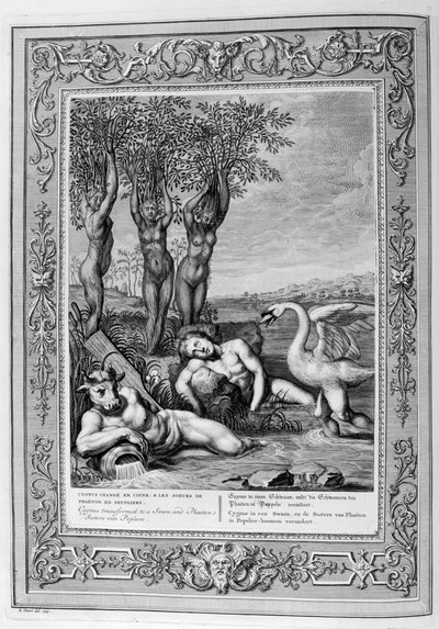 Cygnus transformé en cygne et les sœurs de Phaéton en peupliers, 1733 - Bernard Picart