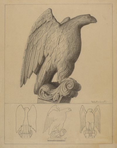 Aigle - Bernard Westmacott