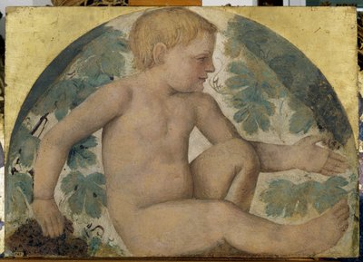 Putti récoltant - Putto sous une pergola, vers 1514 - Bernardino Luini