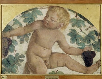 Putti récoltant - Putto sous une pergola, c.1514 (détaché et monté sur panneau) - Bernardino Luini