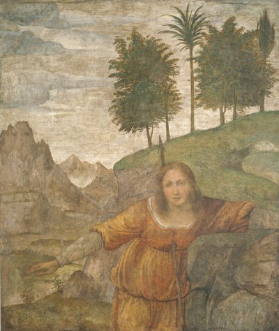 Procris percée par le javelot de Céphale - Bernardino Luini