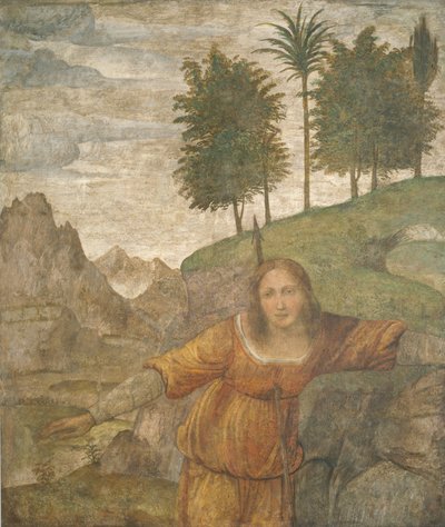 Procris transpercée par le javelot de Céphale - Bernardino Luini