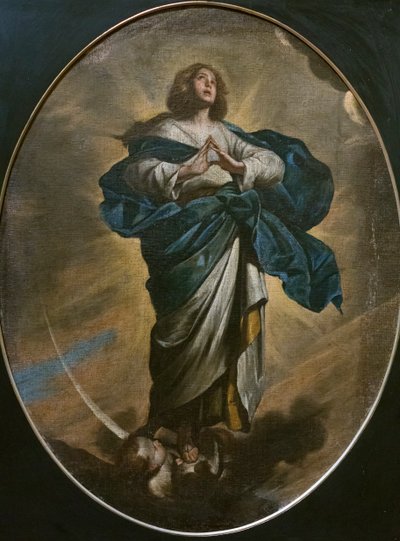 Immaculée conception, d