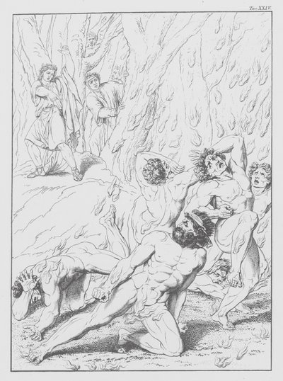 La Divine Comédie de Dante, Inferno (Enfer), Planche XXIV - Bernhard Schuler