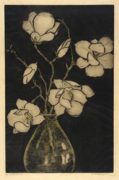 Fleurs de printemps (Magnolia arborescent) - Bertha E. Jaques