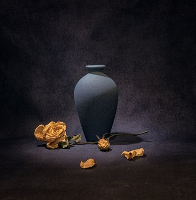 Nature morte à la rose bleu foncé - Betty Liu