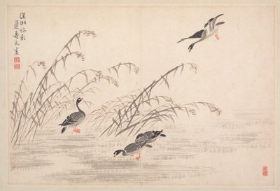 Album de calligraphie et de peintures, 18e siècle - Bian Shoumin