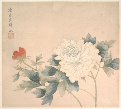 Étude des fleurs - Bing Yun