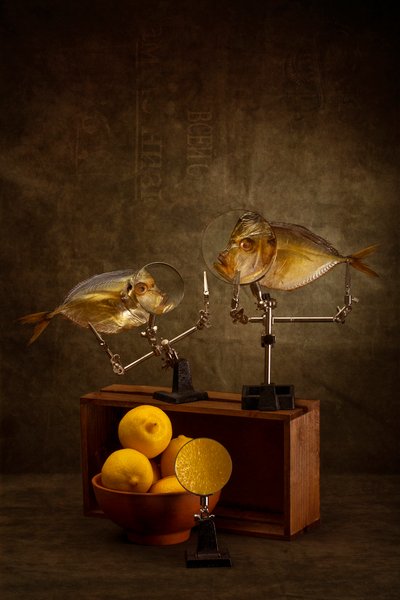  - Brig Barkow