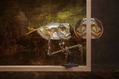 Poisson au regard curieux - Brig Barkow