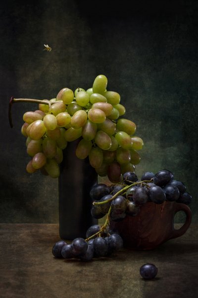  - Brig Barkow