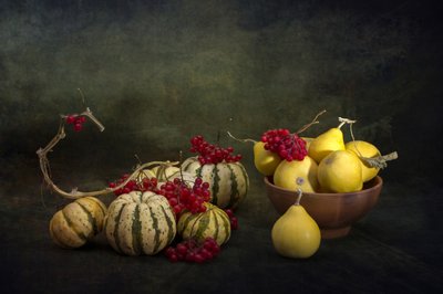  - Brig Barkow