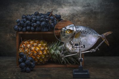  - Brig Barkow