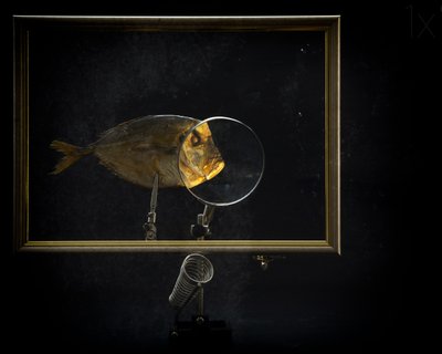  - Brig Barkow