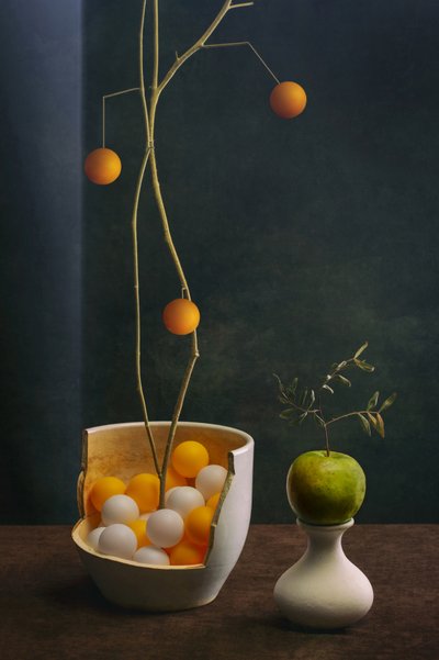  - Brig Barkow