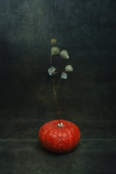 - Brig Barkow