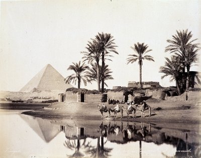 Chameaux buvant au pied des pyramides d