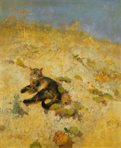 Un chat se prélassant au soleil - Bruno Andreas Liljefors