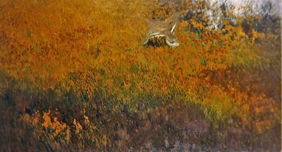 Paysage d
