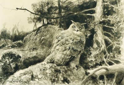 Grand-duc (Bubo Bubo) - Bruno Andreas Liljefors