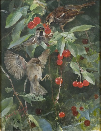 Moineaux dans un cerisier - Bruno Andreas Liljefors