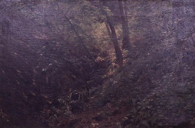Printemps dans une gorge - C.A. Kølle