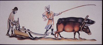Hommes médiévaux labourant avec des bœufs, d