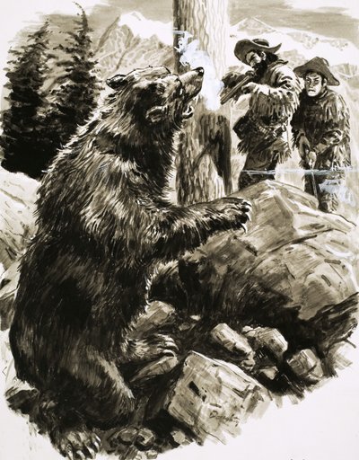 Grizzly américain abattu par des trappeurs - C.L. Doughty