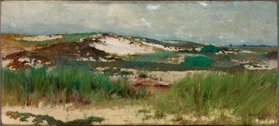 Dune de sable de Nantucket - C. Morgan McIlhenney