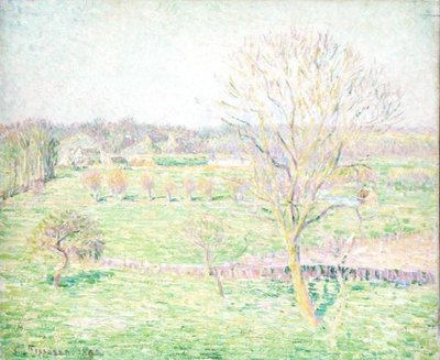 Un champ avec un noyer au printemps - Camille Jacob Pissarro