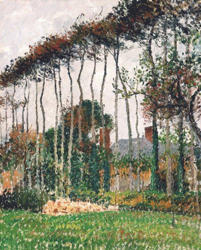 French : Les grands hêtres à Varengeville
French : Les grands hêtres rouges à Varengeville - Camille Pissarro
