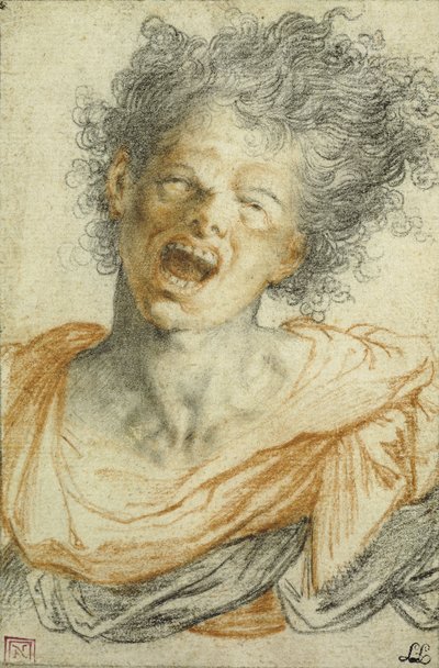 Un jeune homme hurlant - Camillo Procaccini