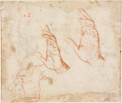 Étude de Mains (verso) - Camillo Procaccini