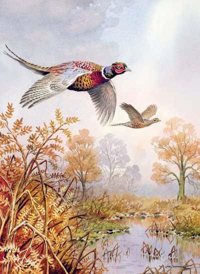 Au-dessus de la plaine - Carl Donner