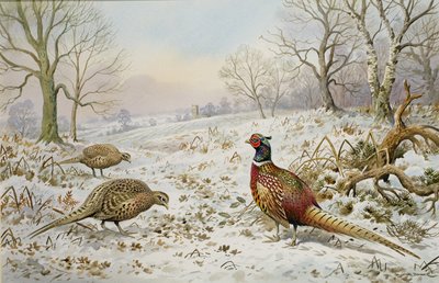 Faisan et perdrix dans un paysage enneigé - Carl Donner