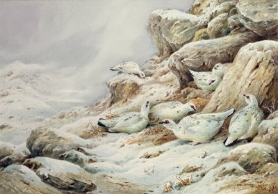 Lagopède dans un paysage enneigé - Carl Donner