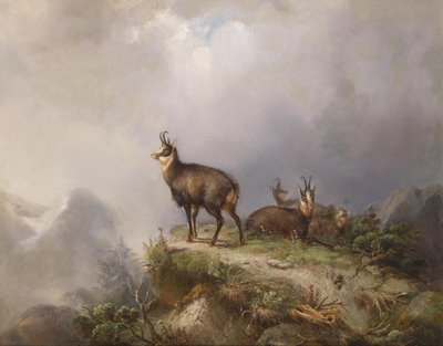 Carl Ockert Chamois - Carl Friedrich Ockert