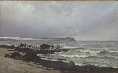 Chargement de varech à la plage de Hornbæk - Carl Locher