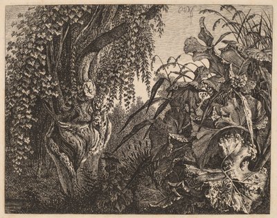 Un fourré; un saule noueux à gauche, un fourré de végétation à droite - Carl Wilhelm Kolbe
