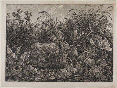 Vache dans un ruisseau - Carl Wilhelm Kolbe the elder
