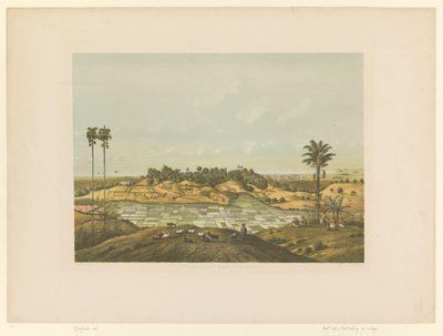 Vue d