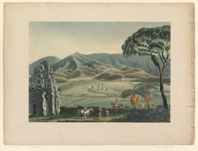 Vue d