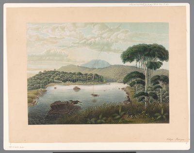 Vue sur le lac Patenggang à Java - Carl Wilhelm Mieling (possibly)