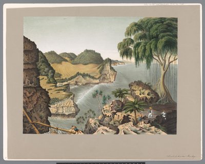 Côte sud de Java, à l