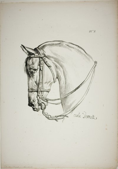 Détail de la tête de cheval, agrandie au triple, Garde royale normande, n° 2 - Carle Vernet