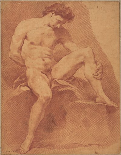Sitzender männlicher Akt - Carle van Loo