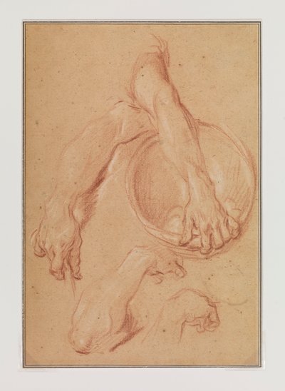 Studien eines Arms - Carle van Loo